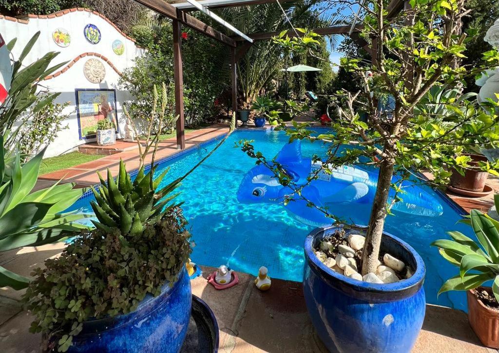 מאלגה Mijas Pueblo Paradise Villa מראה חיצוני תמונה